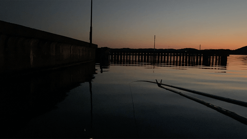 北浦デコ日記|2月冬のオデコなヘラブナ野釣り【霞ヶ浦水系北浦】