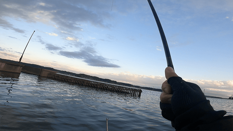 北浦デコ日記|2月冬のオデコなヘラブナ野釣り【霞ヶ浦水系北浦】