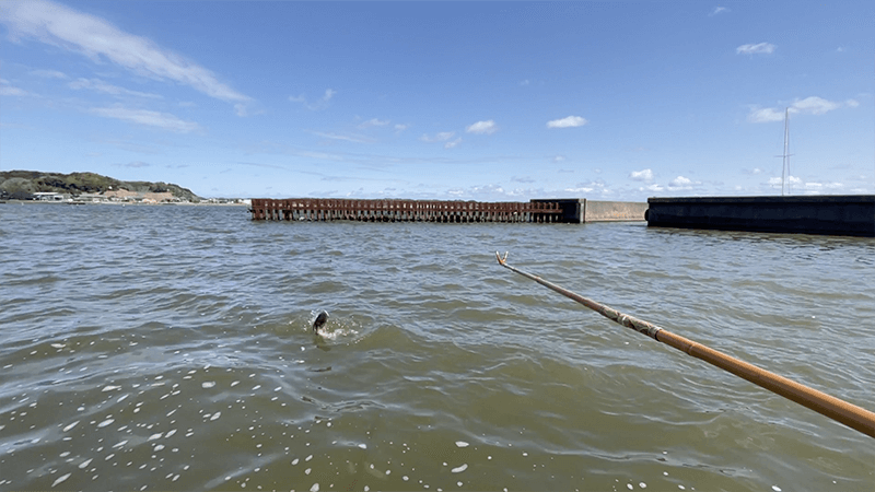 北浦デコ日記|2月冬のオデコなヘラブナ野釣り【霞ヶ浦水系北浦】