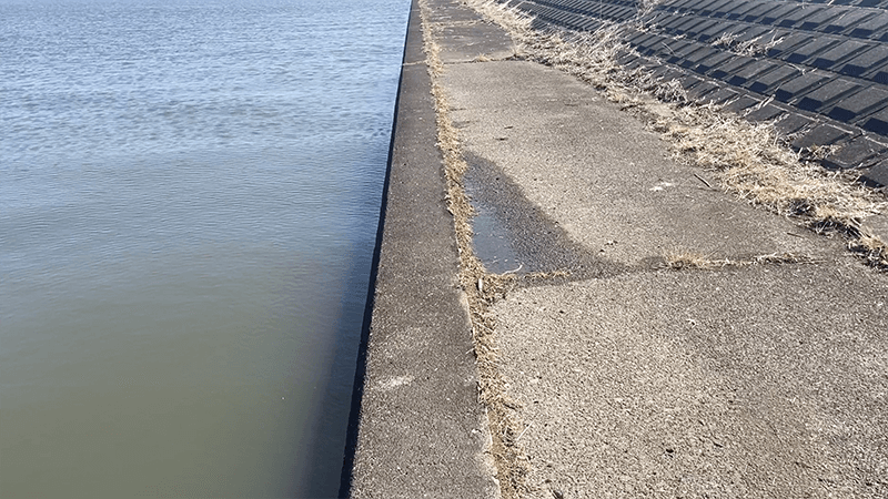 ひさしぶりの北浦ヘラブナ…オデコ連発の後の40上【霞ヶ浦水系北浦3月中旬】