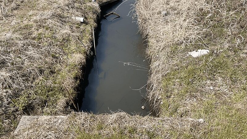 巴川でヘラブナ釣りもナイターでなんとか一枚【霞ヶ浦水系北浦 3月中旬】