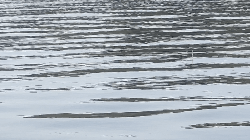 巴川でヘラブナ釣りもナイターでなんとか一枚【霞ヶ浦水系北浦 3月中旬】