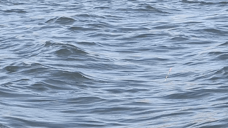 巴川でヘラブナ釣りもナイターでなんとか一枚【霞ヶ浦水系北浦 3月中旬】