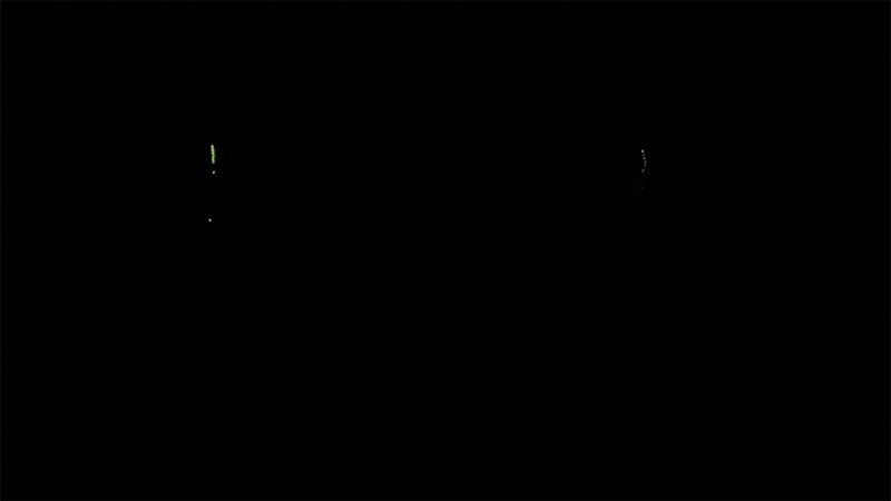 巴川でヘラブナ釣りもナイターでなんとか一枚【霞ヶ浦水系北浦 3月中旬】