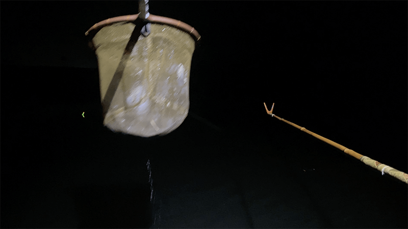 巴川でヘラブナ釣りもナイターでなんとか一枚【霞ヶ浦水系北浦 3月中旬】