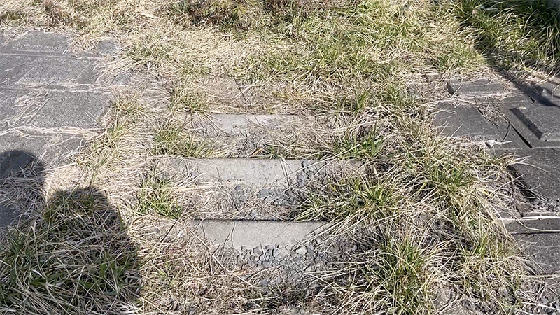 急流でのドボン釣り！巴川でヘラブナ40上【霞ヶ浦水系北浦 3月下旬】