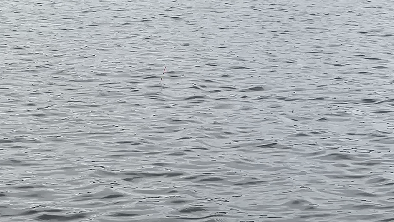 急流でのドボン釣り！巴川でヘラブナ40上【霞ヶ浦水系北浦 3月下旬】