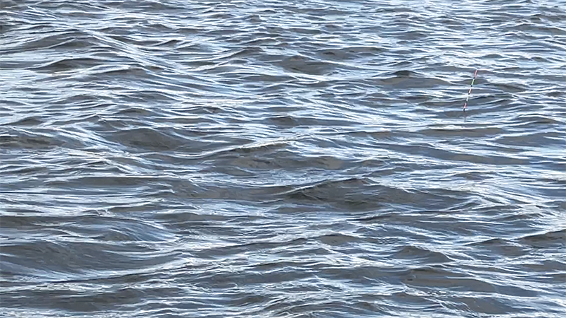 急流でのドボン釣り！巴川でヘラブナ40上【霞ヶ浦水系北浦 3月下旬】