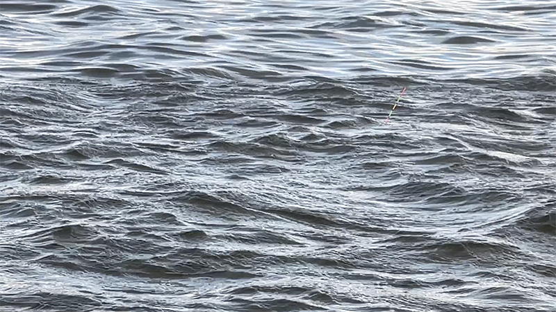 急流でのドボン釣り！巴川でヘラブナ40上【霞ヶ浦水系北浦 3月下旬】