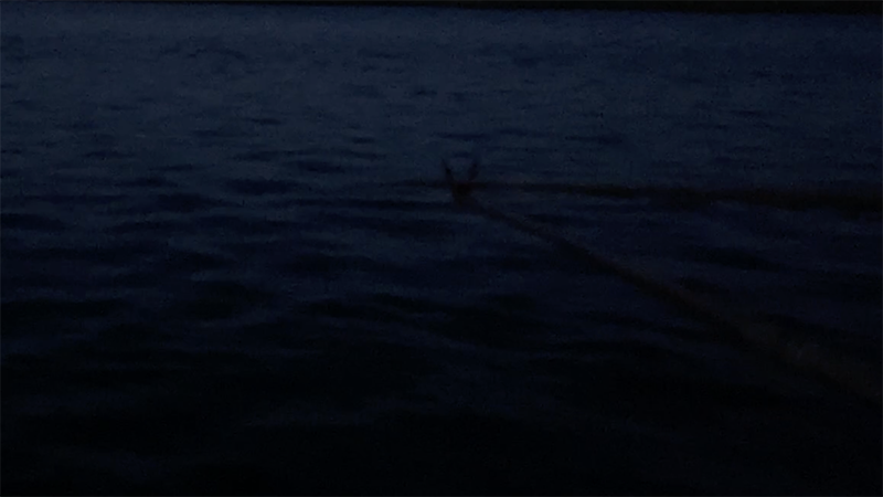 急流でのドボン釣り！巴川でヘラブナ40上【霞ヶ浦水系北浦 3月下旬】