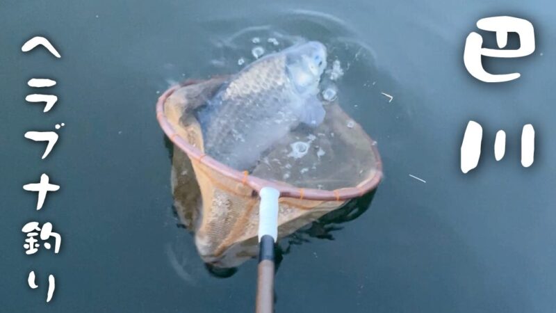 急流でのドボン釣り！巴川でヘラブナ40上【霞ヶ浦水系北浦 3月下旬】