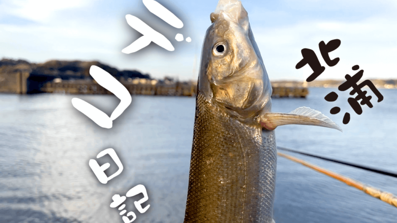 北浦デコ日記｜2月冬のオデコなヘラブナ野釣り【霞ヶ浦水系北浦】