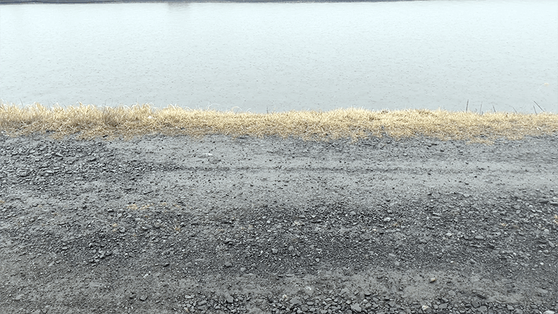 巴川でのヘラブナ釣りでポツンと一枚【霞ヶ浦水系北浦 3月末】