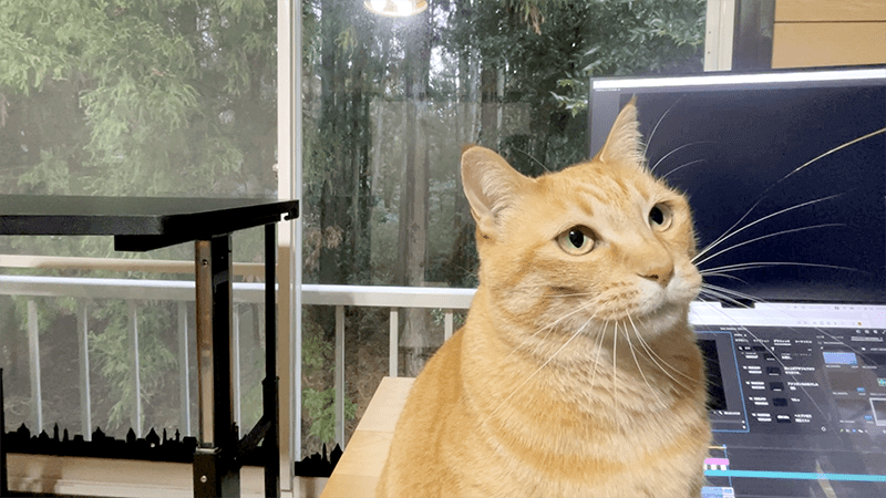 巴川でのヘラブナ釣りでポツンと一枚【霞ヶ浦水系北浦 3月末】
