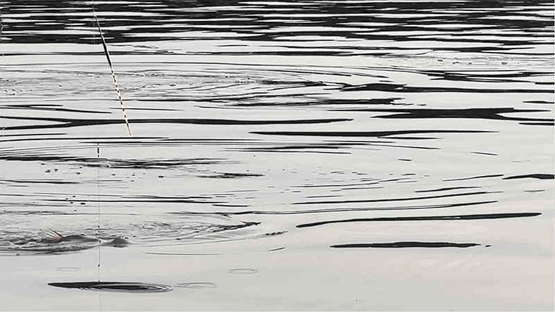 自作ウキでヘラブナが釣れて嬉しい春の北浦でのヘラ釣り【霞ヶ浦水系北浦 4月上旬】