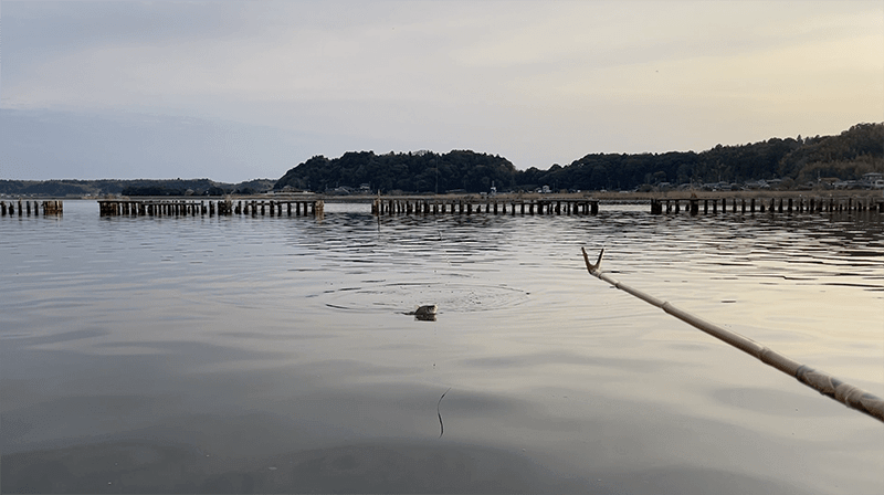 自作ウキでヘラブナが釣れて嬉しい春の北浦でのヘラ釣り【霞ヶ浦水系北浦 4月上旬】