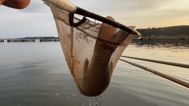 自作ウキでヘラブナが釣れて嬉しい春の北浦でのヘラ釣り【霞ヶ浦水系北浦 4月上旬】