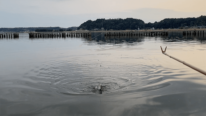 自作ウキでヘラブナが釣れて嬉しい春の北浦でのヘラ釣り【霞ヶ浦水系北浦 4月上旬】