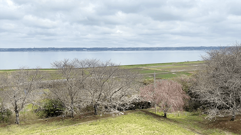 4月上旬春の北浦でヘラブナ野釣りもナイターでやっとこ【霞ヶ浦水系北浦】
