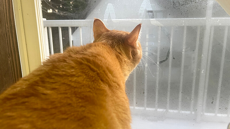 4月上旬春の北浦でヘラブナ野釣りもナイターでやっとこ【霞ヶ浦水系北浦】