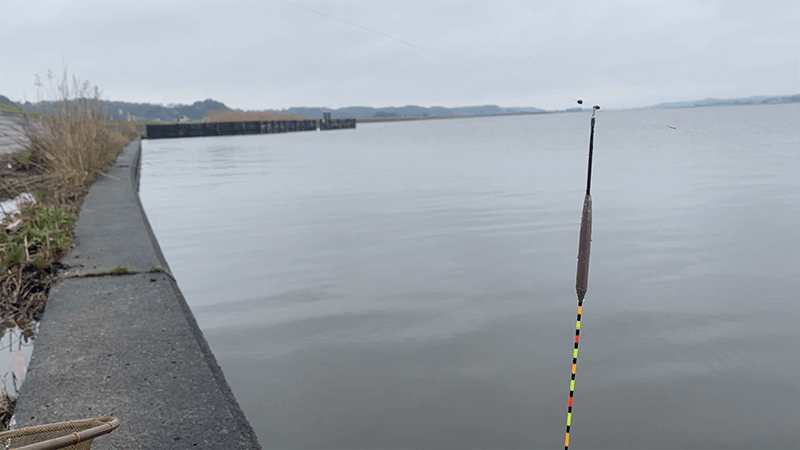 4月上旬春の北浦でヘラブナ野釣りもナイターでやっとこ【霞ヶ浦水系北浦】