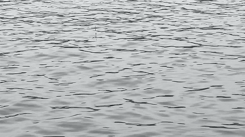 4月上旬春の北浦でヘラブナ野釣りもナイターでやっとこ【霞ヶ浦水系北浦】