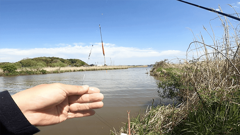 宇崎日新の鯉短竿でなんでもコイのヘラブナ釣り【霞ヶ浦水系北浦蔵川 4月中旬】