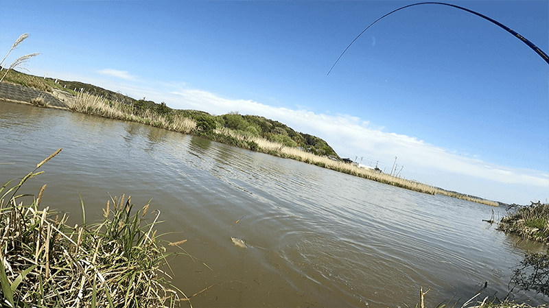 宇崎日新の鯉短竿でなんでもコイのヘラブナ釣り【霞ヶ浦水系北浦蔵川 4月中旬】