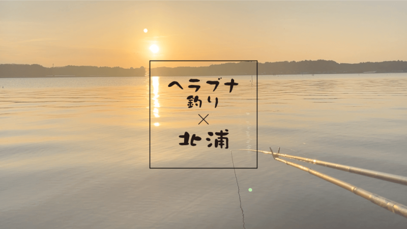 4月上旬春の北浦でヘラブナ野釣りもナイターでやっとこ【霞ヶ浦水系北浦】