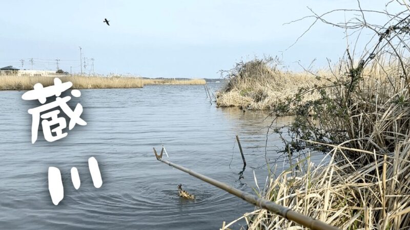 蔵川で…鯉釣りじゃないのよヘラ釣りなのよ【霞ヶ浦水系北浦 4月初旬】