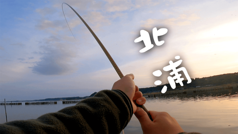 自作ウキでヘラブナが釣れて嬉しい春の北浦でのヘラ釣り【霞ヶ浦水系北浦 4月上旬】