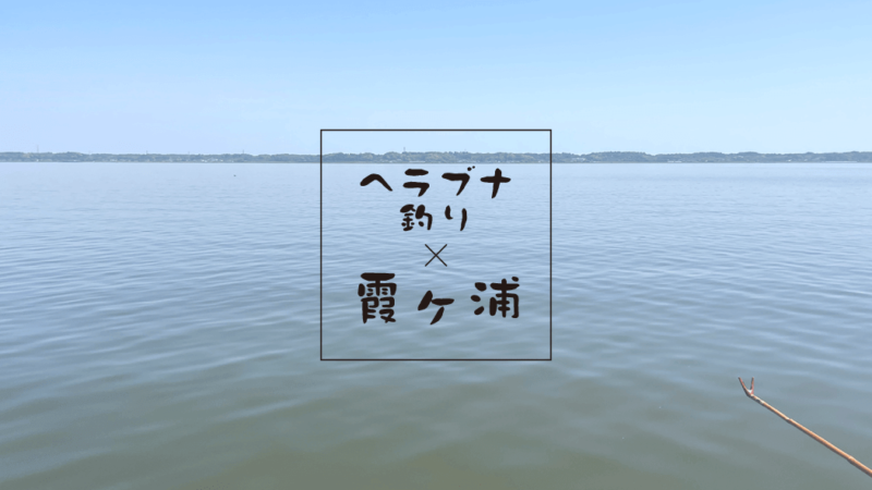 霞ヶ浦本湖でひさしぶりのヘラブナ釣り【5月初旬】