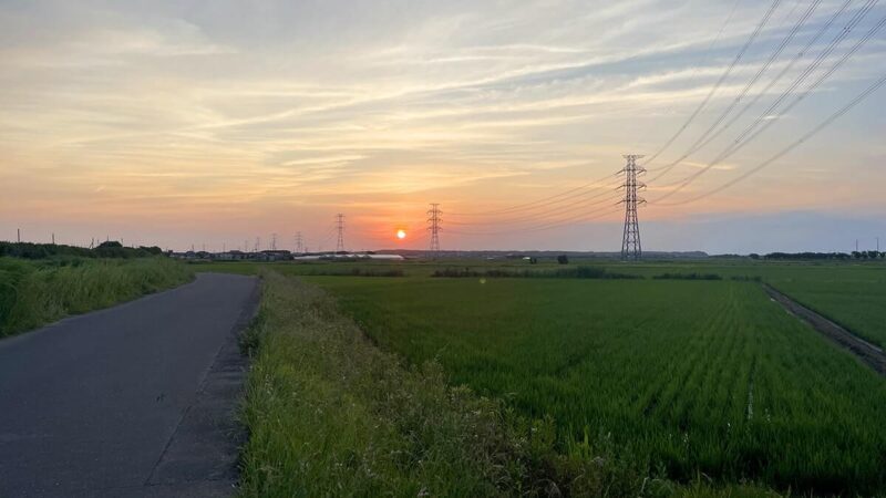 霞水系の水路でブラックバス釣りも小型…暑い日続きでビールが旨い