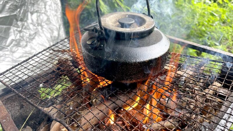 シソの実の醤油漬け、勝手にできたカボチャと手作りピザランチ