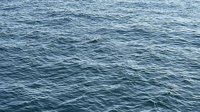 11月の秋フカセ釣りでグレを釣って塩焼きと炙り刺しに！旨し。