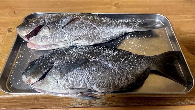 11月の秋フカセ釣りでグレを釣って塩焼きと炙り刺しに！旨し。