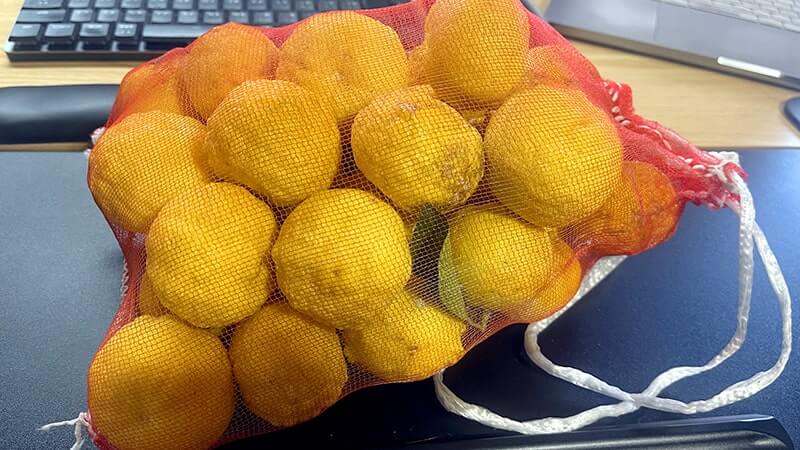 チヌ(黒鯛)を釣って炙り刺し&潮汁に!11月末のフカセ釣りと秋の釣り飯