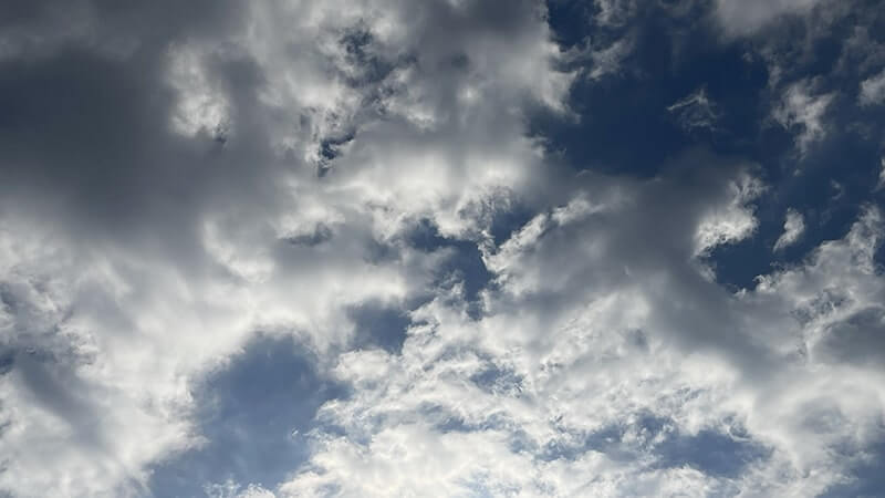 チヌ(黒鯛)を釣って炙り刺し&潮汁に!11月末のフカセ釣りと秋の釣り飯