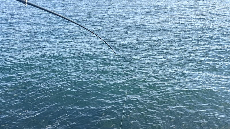 チヌ(黒鯛)を釣って炙り刺し&潮汁に!11月末のフカセ釣りと秋の釣り飯