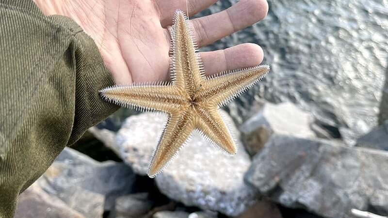 チヌ(黒鯛)を釣って炙り刺し&潮汁に!11月末のフカセ釣りと秋の釣り飯