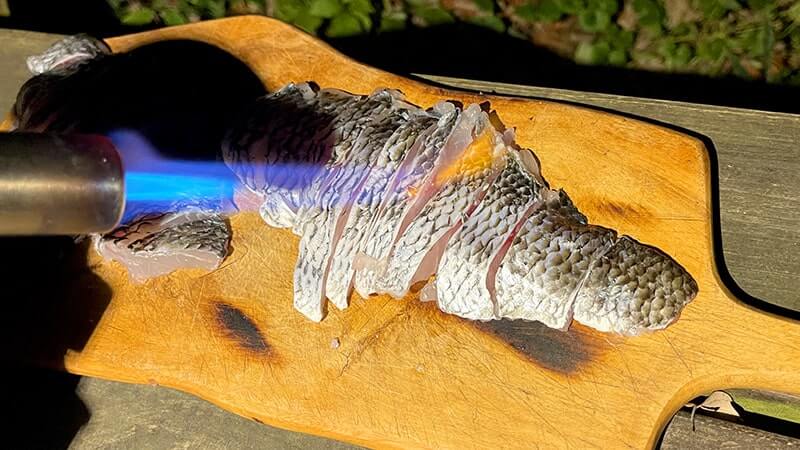 チヌ(黒鯛)を釣って炙り刺し&潮汁に!11月末のフカセ釣りと秋の釣り飯