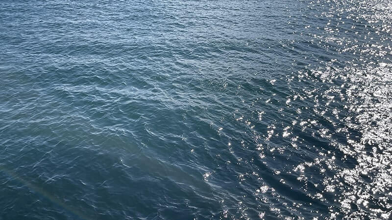 12月上旬、爆風の海でフカセ釣り!グレ・アジ・メバルを干物に。