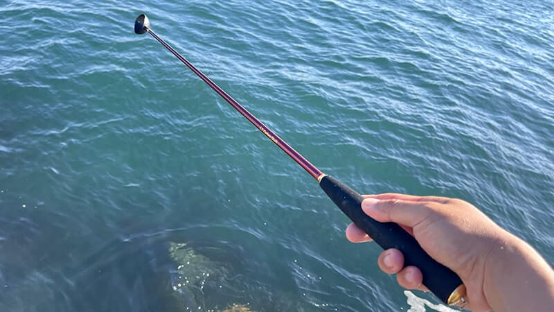 12月上旬、爆風の海でフカセ釣り!グレ・アジ・メバルを干物に。