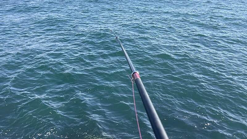 12月上旬、爆風の海でフカセ釣り!グレ・アジ・メバルを干物に。