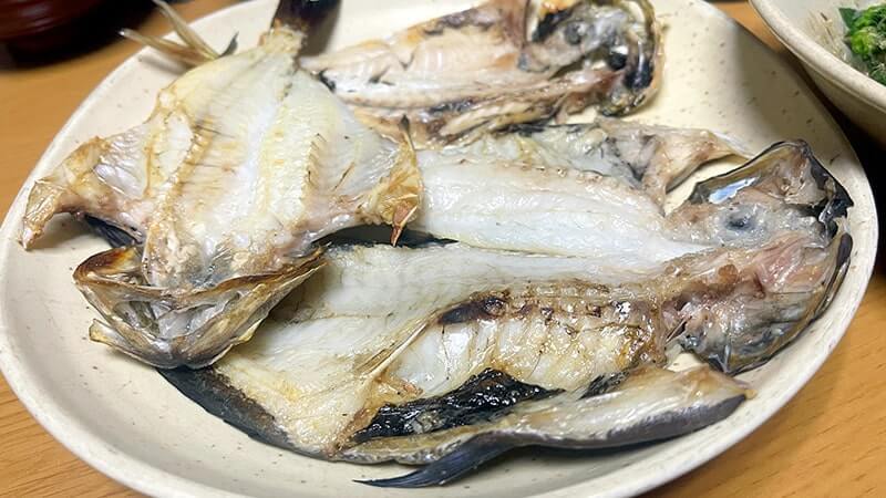 12月上旬、爆風の海でフカセ釣り!グレ・アジ・メバルを干物に。