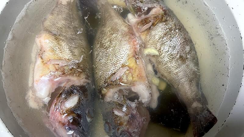 アラカブの味噌汁はフンドーキンで作るとマジで旨い!って話 【カサゴ釣り】