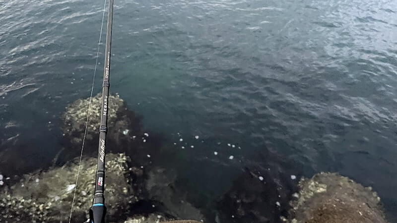 アイナメを釣って刺身と炙り刺しにした冬のある日の釣行