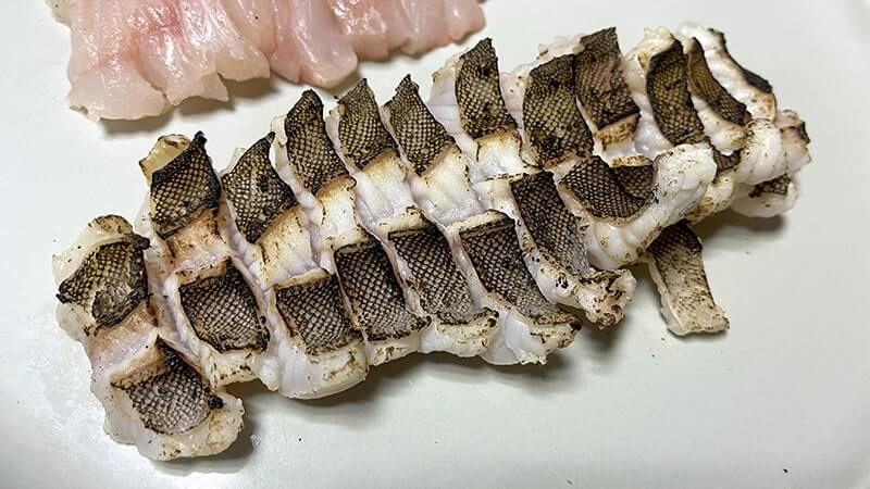 アイナメを釣って刺身と炙り刺しにした冬のある日の釣行