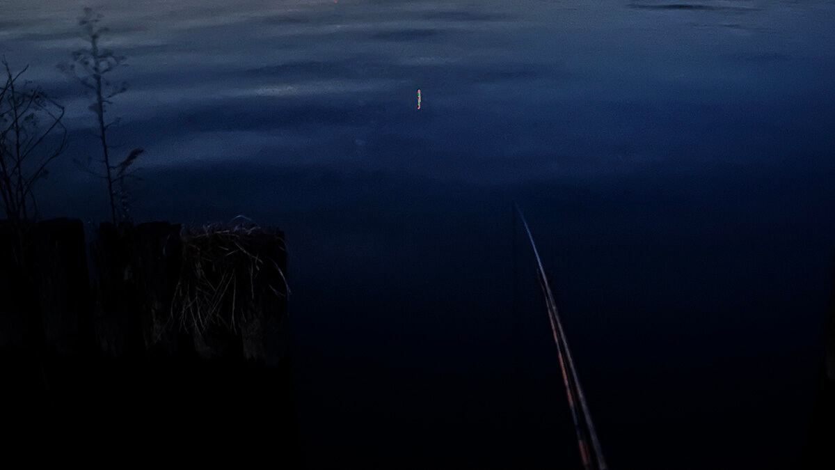 黒部川へ！真冬の夜は氷点下…極寒の中、ヘラブナ夜釣りしてみた