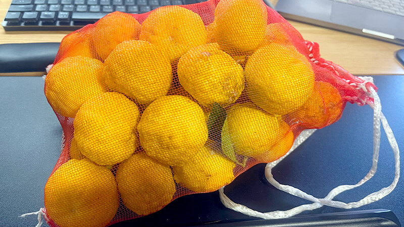 大量消費のつもりが主役に…自家製柚子胡椒が感動レベルでおいしかった件